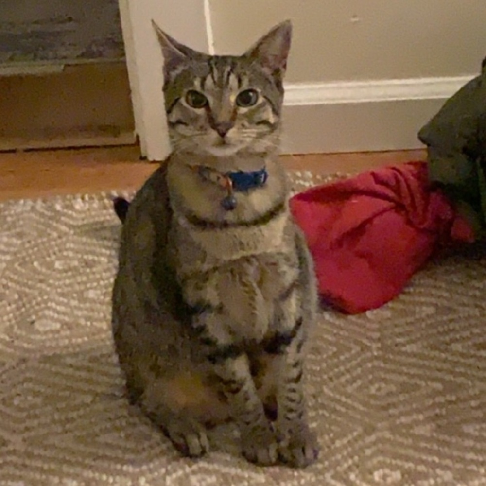 Meet your Posher, Olivia